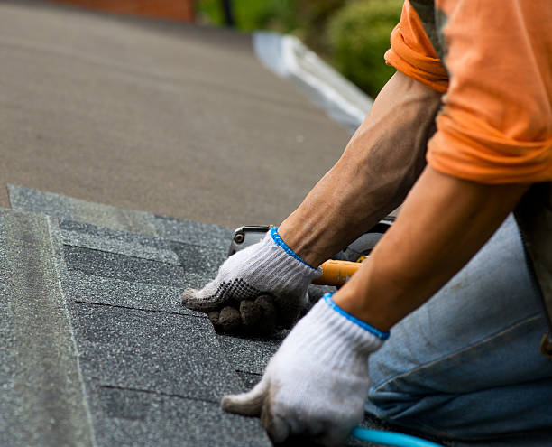 Best Roof Gutter Cleaning  in Tenafly, NJ